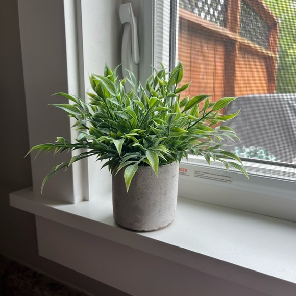 Random decor :) - Picture 3 of 6